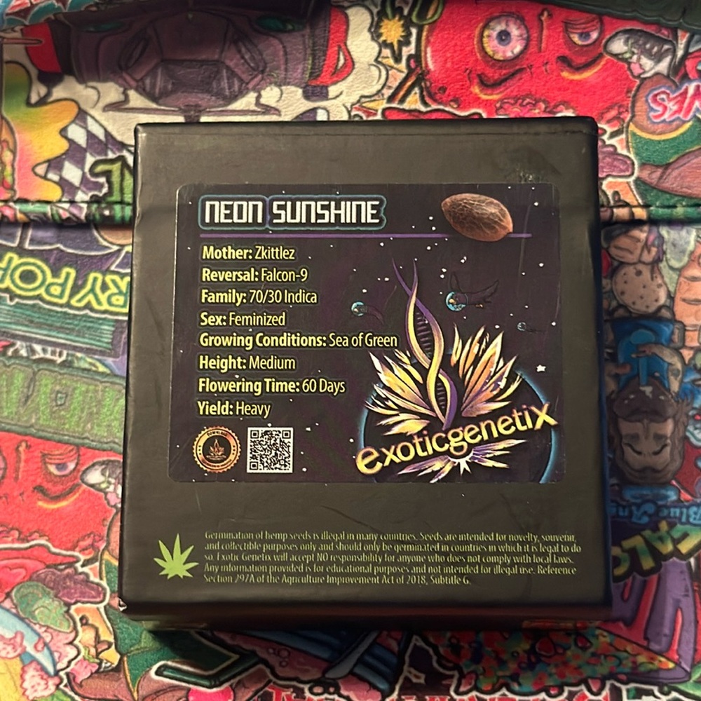 “Neon Sunshine” by Exotic Genetix